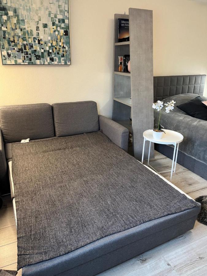 Alice Apartment Wackernheim Ingelheim am Rhein Eksteriør billede
